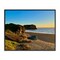 Stupell Industries Goat Rock Beach Sunrise Framed Giclee, design by Nicole Dell